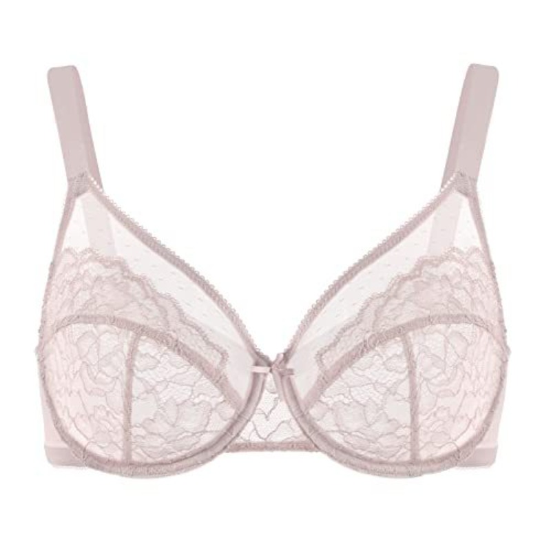 Plus Size Lace Bra French Push - Sheer Mesh Bra 评论和价格