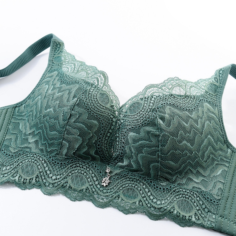 Women Lace Underwears Bra With - Nursing Bra Clip 评论和价格